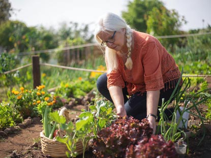 Old woman farming